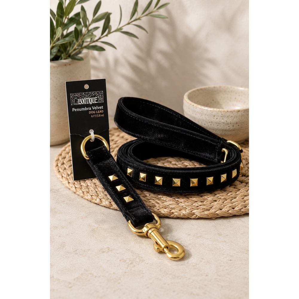 Bootique Black Velvet Dog 6 Foot Lead with Gold Stud Hardware